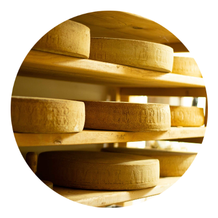 fromages d'alpage gruyere aop