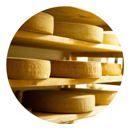 gruyere aop